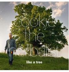 Various Artists - Like a Tree