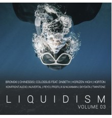 Various Artists - Liquidism, Vol. 3