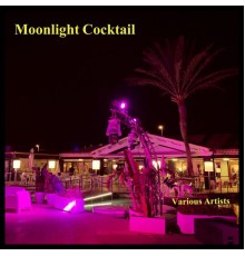 Various Artists - Moonlight Cocktail