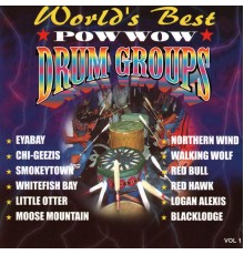 Various Artists - Pow Wow Drum Groups, Vol. 1
