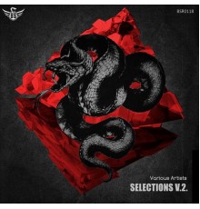 Various Artists - Selections V2