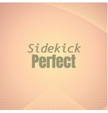 Various Artists - Sidekick Perfect