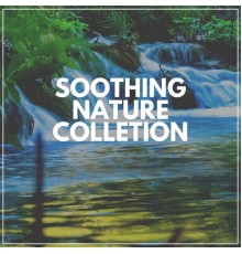 Various Artists - Soothing Nature Collection