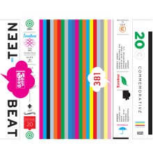 Various Artists - Teenbeat 20th