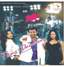 Various Artists - Tera Deewana