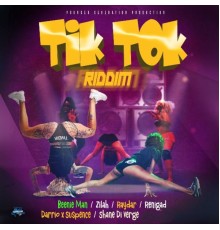 Various Artists - Tik Tok Riddim