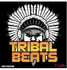 Various Artists - Tribal Beats