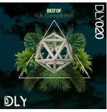 Various Artists - V.A. Compilation DLY020