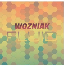 Various Artists - Wozniak Fluid