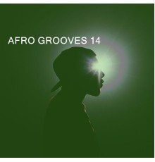 Various Artists - AFRO GROOVES 14