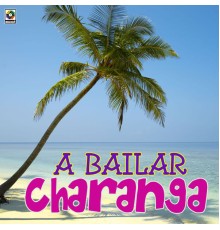 Various Artists - A Bailar Charanga