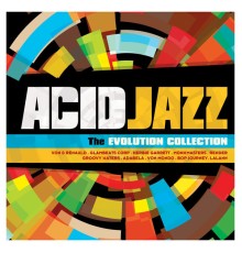Various Artists - Acid Jazz: The Evolution Collection