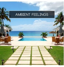 Various Artists - Ambient Feelings