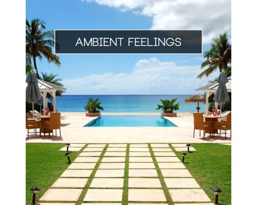 Various Artists - Ambient Feelings