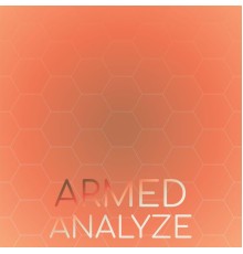 Various Artists - Armed Analyze