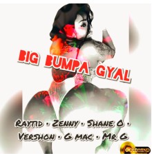 Various Artists - Big Bumpa Gyal