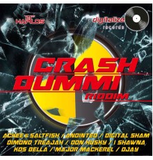 Various Artists - Crash Dummi Riddim