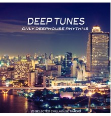Various Artists - Deep Tunes  (Only Deephouse Rhythms)