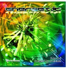 Various Artists - Energetic, Vol. 2