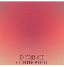 Various Artists - Experience Contemptible