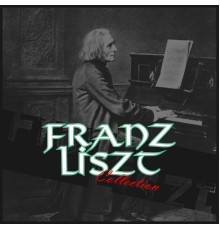 Various Artists - Franz Liszt Collection