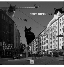 Various Artists - HOT CUTS! 02