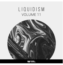 Various Artists - Liquidism, Vol. 11