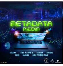 Various Artists - Metadata Riddim