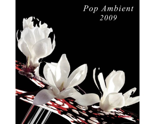 Various Artists - Pop Ambient 2009