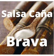 Various Artists - Salsa Caña Brava