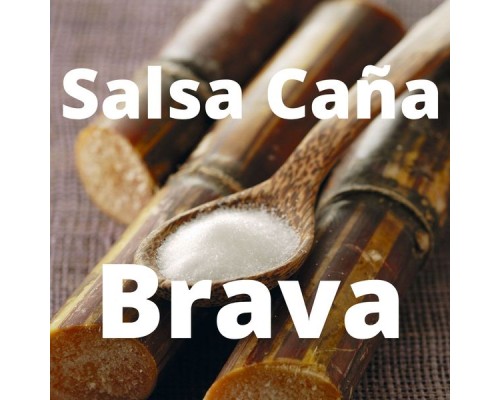 Various Artists - Salsa Caña Brava