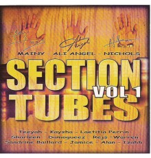 Various Artists - Section tubes zouk, Vol. 1