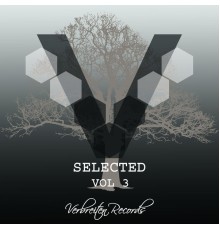 Various Artists - Selected, Vol.3