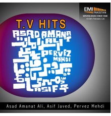 Various Artists - T.V Hits