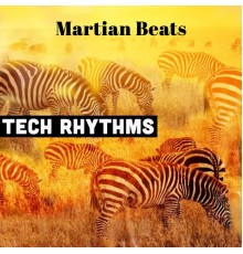 Various Artists - Tech Rhythms