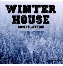 Various Artists - Winter House Compilation