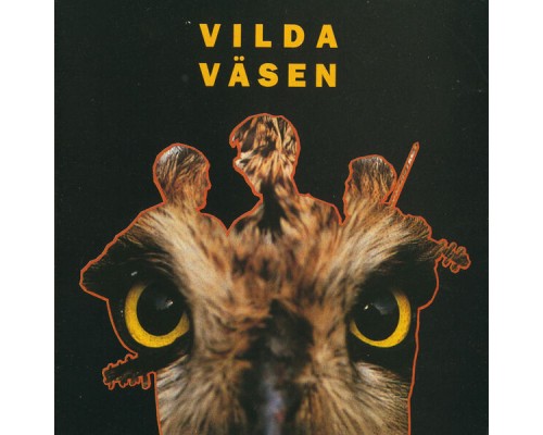 Väsen - Vilda Väsen