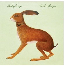 Vashti Bunyan - Lookaftering