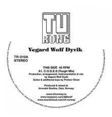 Vegard Wolf Dyvik - C.O.D.E.S.