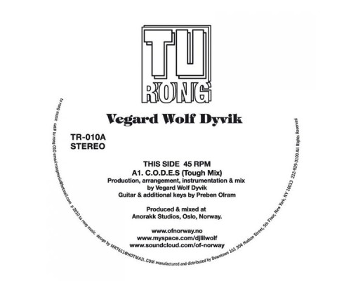 Vegard Wolf Dyvik - C.O.D.E.S.