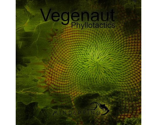 Vegenaut - Phyllotactics EP (Original Mix)