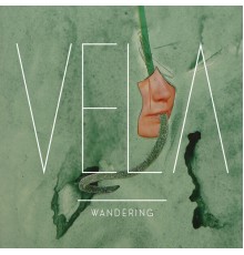Vela - Wandering