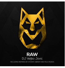 Veljko Jovic - Raw