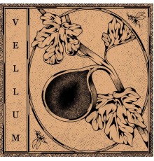 Vellum - Demo