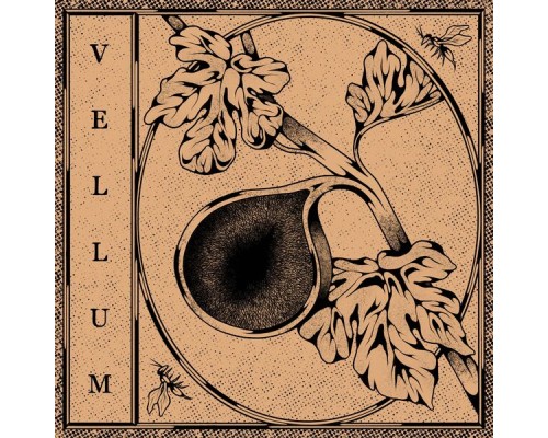 Vellum - Demo