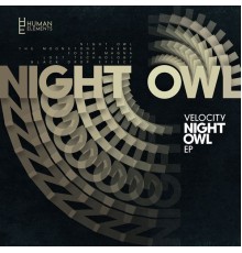 Velocity - Night Owl