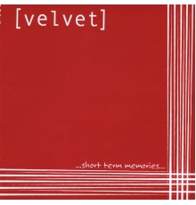 Velvet - Short Term Memories...