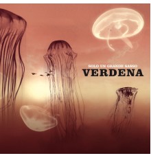 Verdena - Solo un grande sasso