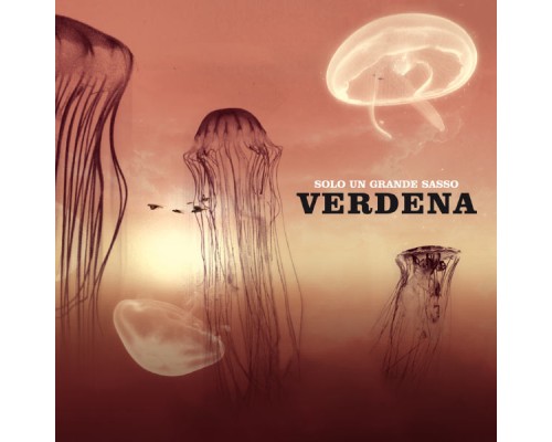 Verdena - Solo un grande sasso