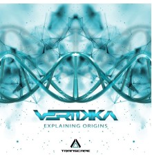 Vertikka - Explaining Origins